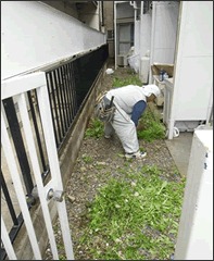 防草ネット及び防犯砂利の施工 施工前