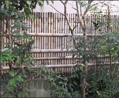 竹垣の補修 施工後