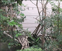 竹垣の補修 施工前