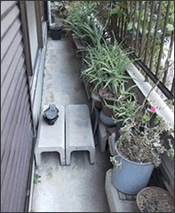 植木鉢用棚の設置 施工前