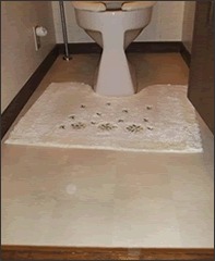 トイレのバリアフリー化 施工前